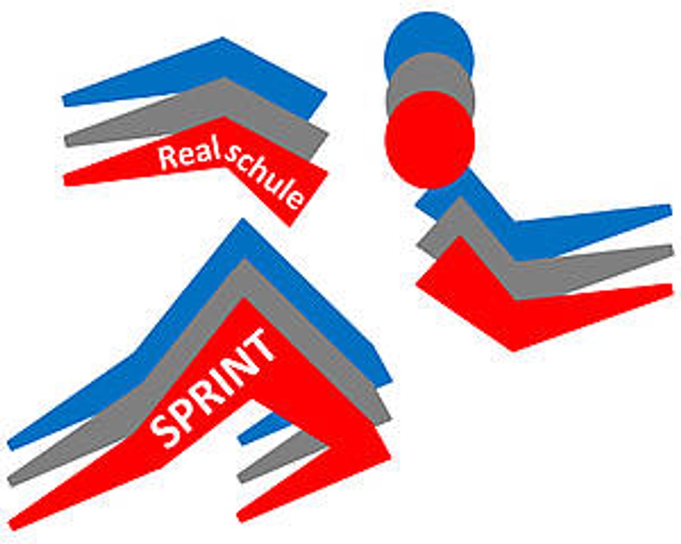 SPRINT Logo