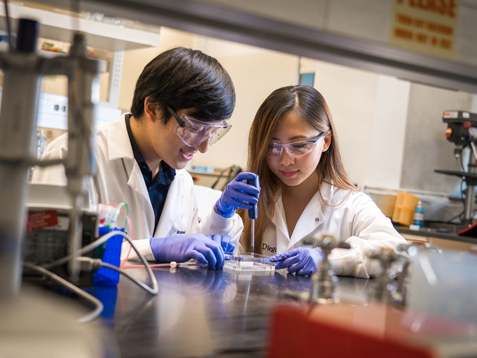 Symbolbild zur Wahlpflichtfächergruppe I